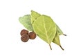 Dried bay leaf and peppercorns on white background Royalty Free Stock Photo