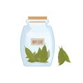 Dried bay leaves stored in clear jar isolated on white background. Piquant condiment with pungent smell, food spice