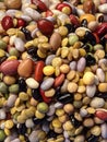 Dried bean soup mix rinsed and ready to cook Royalty Free Stock Photo