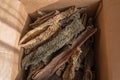 Dried beef offal. Dried tripe. A full cardboard box of chewy dog treats