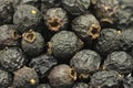 Dried berries of black hawthorn