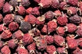 Dried berries of cinnamon rose Royalty Free Stock Photo