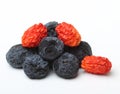 Dried berries isolated Royalty Free Stock Photo