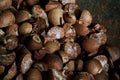 Dried betelnut Royalty Free Stock Photo