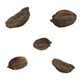 Dried black cardamom spice isolated on white background spices of india Royalty Free Stock Photo