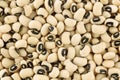 Dried black eyed peas Royalty Free Stock Photo