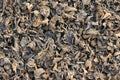 Dried black fungus Royalty Free Stock Photo