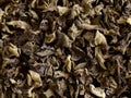 Dried black fungus Royalty Free Stock Photo