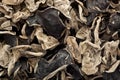Dried black fungus Royalty Free Stock Photo
