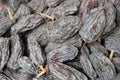 Dried black grapes Royalty Free Stock Photo