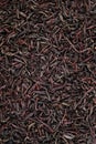 Dried black Tea Background Texture Royalty Free Stock Photo