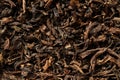 Dried black tea leaves