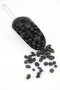 Dried Blueberries isolated