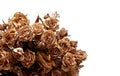 Dried bouquet #1 Royalty Free Stock Photo