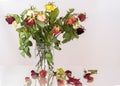 Dried Bouquet in a vase Royalty Free Stock Photo