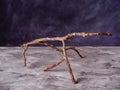 The dried branched branch of a walnut tree stands on a concrete board
