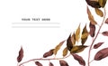 Dried autumn branches background for website banners, social media banners. Watercolour illustration isolated on white