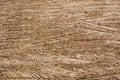 Dried branches of coffee color laid out on the floor .Texture or background. Royalty Free Stock Photo