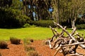 Dried branches in park Royalty Free Stock Photo