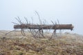 Dried broken pine tree covered in frost  fallen on a grassy ground surrounded by mist Royalty Free Stock Photo