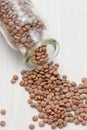 Dried brown lentils