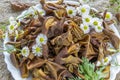 Dried brown pear slices white plate with white flowers. White daisy flowers and a green wormwood branch. Useful dry food. Edible s Royalty Free Stock Photo