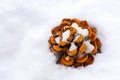 Dried brown pine Conifer cone seed on snow during winter