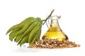 Dried buddha`s hand or citrus medica var. sarcodactylis peels ,fresh fruit and oil isolated on white background Royalty Free Stock Photo