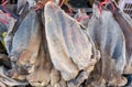 dried Buffalo leather and cow skin in market