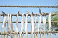 Dried bumla fish - Bombay duck fish Royalty Free Stock Photo