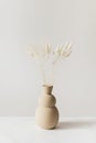 Dried Bunny Tail grass in a brown vase