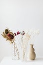 Dried Bunny Tail grass in vases