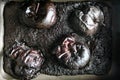 dried burned black carbonized apples food