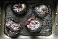 dried burned black carbonized apples food