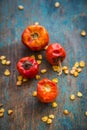 Dried Button Red Chilies Royalty Free Stock Photo