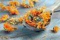 Dried calendula flowers in a wooden spoon. calendula tea. alternative medicine Royalty Free Stock Photo