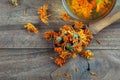 Dried calendula flowers in a wooden spoon. calendula tea. alternative medicine Royalty Free Stock Photo