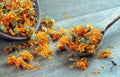 Dried calendula flowers in a wooden spoon. calendula tea. alternative medicine Royalty Free Stock Photo