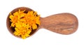 Dried calendula flowers in wooden spoon, isolated on white background. Petals of Calendula officinalis. Medicinal herbs Royalty Free Stock Photo