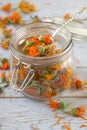 Dried calendula Royalty Free Stock Photo