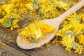 Dried calendula on wooden spoon Royalty Free Stock Photo