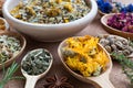 Dried calendula on a wooden spoon, with other herbs in the background Royalty Free Stock Photo