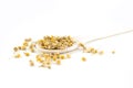 Camomile on a wooden spoon isolated on a white background