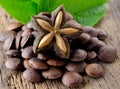 Dried capsule seeds fruit of sacha-Inchi peanut Royalty Free Stock Photo