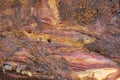 Dried carcass of cow beef close-up