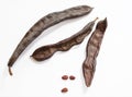 Dried carob pods Royalty Free Stock Photo