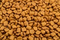 Dried cat food. Background Royalty Free Stock Photo