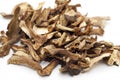 Dried Cepe mashrooms Royalty Free Stock Photo