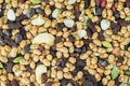 Dried cereal seeds and fruits Royalty Free Stock Photo