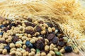 Dried cereal seeds and fruits with stalks of wheat ears Royalty Free Stock Photo